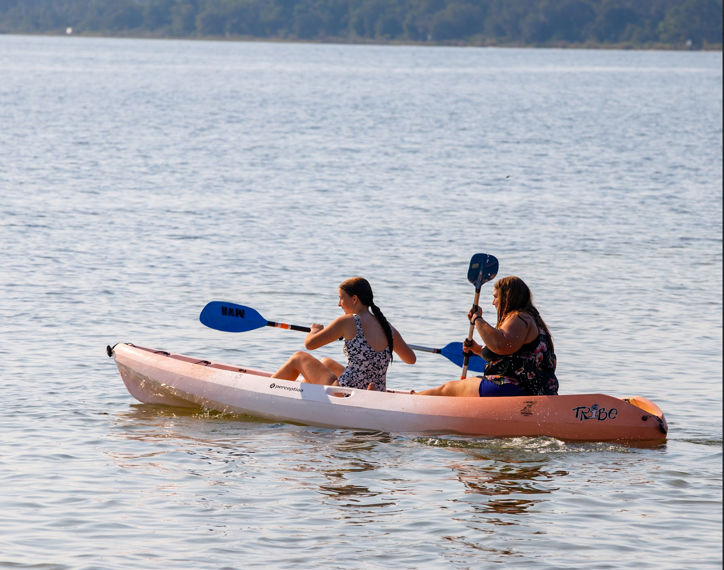 Annual Company Cookout photo 1